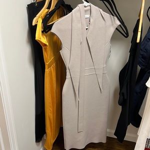 Scanlan Theodore blush dress